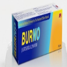 BURNO SKIN OINTMENT 30 GM