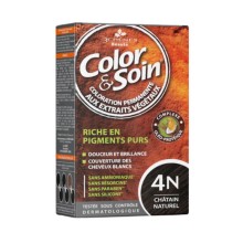 Color & Soin -Chestnut Natural 4N